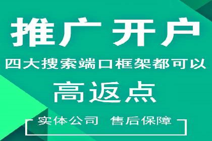 百度竞价赚钱攻略：实战案例分享